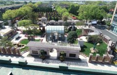 方寸之间，艺术与自然共舞