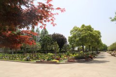 归于林下：一场与自然的温柔重逢