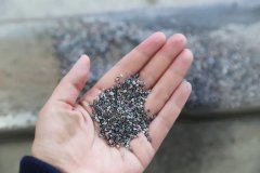 石语新章：仿真保护箱中的生态启示录