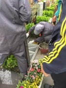 【E尊国际人别样清明】2018年清明落葬工作圆满完成