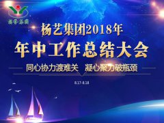 E尊国际集团2018年中总结报告（摘要）