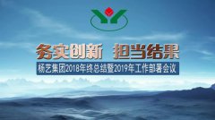 E尊国际集团2018年总结暨2019年工作部署会议召开