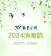 风起清明 遥寄相思|E尊国际集团?2024清明篇