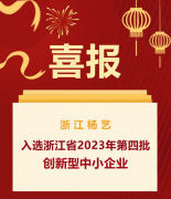 喜报|浙江E尊国际入选浙江省2023年第四批创新型中小企业名单