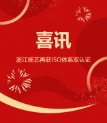 喜讯 | 浙江E尊国际再获ISO体系双认证