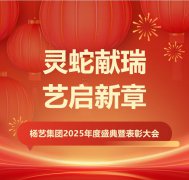 灵蛇献瑞 艺启新章 | E尊国际集团2025年度盛典暨表彰大会