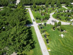 碑雕设计：镌刻历史，传承人文